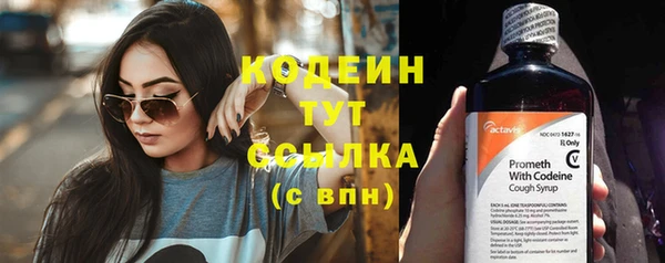 крисы Михайловск