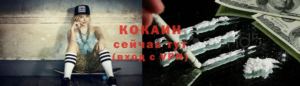 крисы Михайловск
