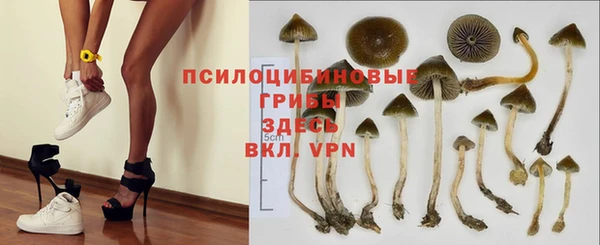 крисы Михайловск