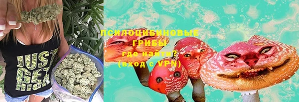 шишки Михайловка