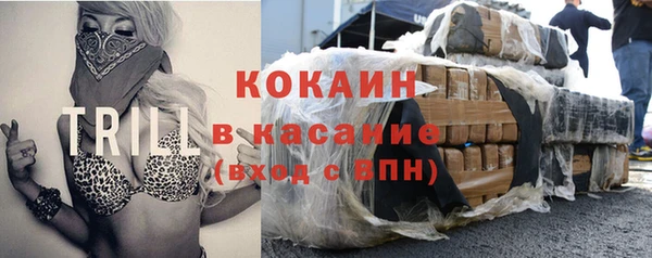 шишки Михайловка