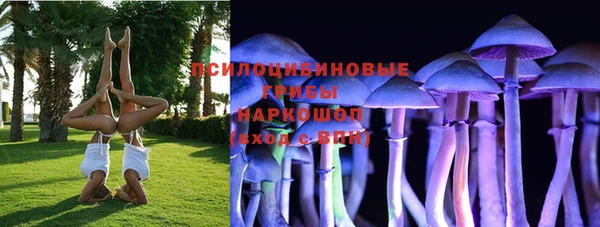 крисы Михайловск