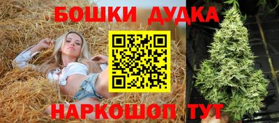 гидра Жуковский