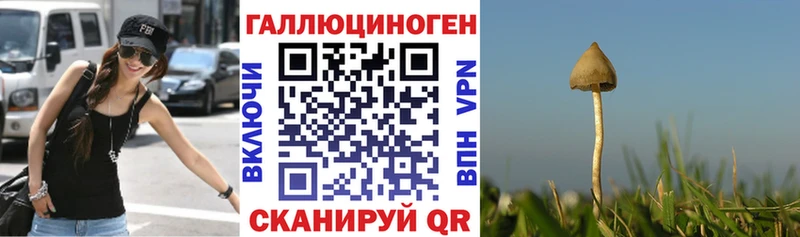 Галлюциногенные грибы мухоморы  Вологда 